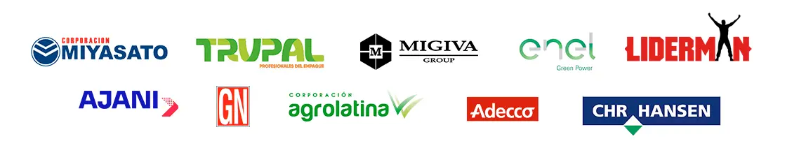 Marcas Partners